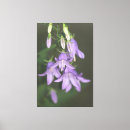 Search for light purple canvas prints Floral