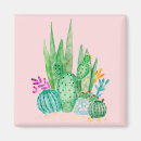 Recherche de fleurs de cactus magnets Rose
