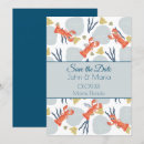 Recherche de dollar invitations Coquillage