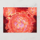 Search for infection postcards Disease