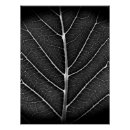 Recherche de fermeture posters Noir et blanc