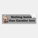 Search for cavalier bumper stickers Puppy