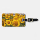 Recherche de province bagages étiquettes Europe