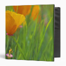 Search for annual binders Bloom