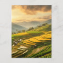 Search for rice terraces postcards Travel