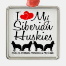 Search for siberian ornaments Huskies