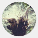 Search for fluff stickers For her