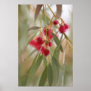 Recherche de gomme posters Fleurs