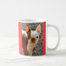 Recherche de compagnon animal classiques tasses Chien