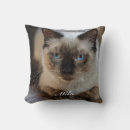 Recherche de ragdoll coussins Mignon