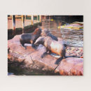 Search for seal puzzles Animal