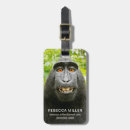 Search for happy monkey accessories Animals