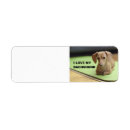 Search for sausage dog return address labels Doxie