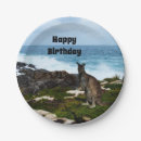 Search for kangaroo party supplies Marsupial