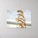 Search for sea oat art Ocean