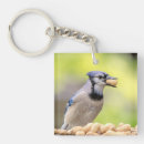 Search for blue jays keychains Wildlife