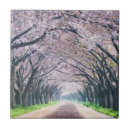 Recherche de piétons carreaux Sentier piéton