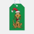 Search for the grinch max Whimsical christmas dog