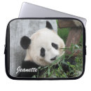 Search for panda laptop cases Photography