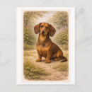 Recherche de teckels cartes postales Animal de compagnie