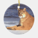 Search for cougar puma ornaments Nature