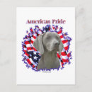 Search for weimaraner postcards Lover