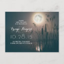 Search for cattails Night