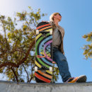 Search for equalizer comp skateboards Rainbow