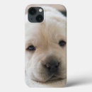 Search for resting ipad cases Puppy
