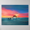 Search for dolphins at sunset posters Porpoise