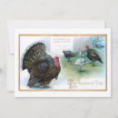 Search for funny thanksgiving cards Turkeys