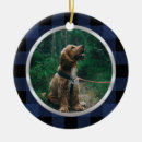 Search for silver frame ornaments Blue