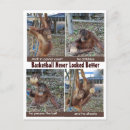 Recherche de baskketball cartes postales Funny
