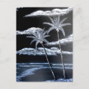 Recherche de palmiers noirs et blancs cartes postales Tropical