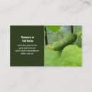 Recherche de concombre cartes visite Vert