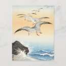 Recherche de mouette cartes postales Goéland