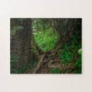 Search for rainforest puzzles Landscape