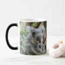 Recherche de ours koala drôle tasses Pour tous