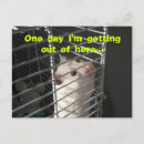Recherche de hamsters cartes postales Mignon