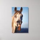 Recherche de humour de cheval art Animal