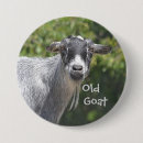 Search for goat buttons Birthday