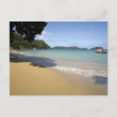 Search for top or bottom postcards Tropical