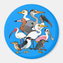 Search for waders Heron