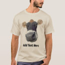 Search for big face tshirts Cow