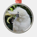 Search for cockatoos ornaments Sulphur crested cockatoo