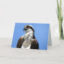 Recherche de rapace vœux cartes Sauvage