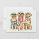 Search for golden retriever lover postcards Summer