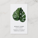 Recherche de feuille monstera cartes visite Verdure