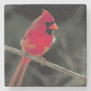Search for cardinal barware Wildlife