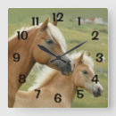 Recherche de palomino posters Amoureux des animaux